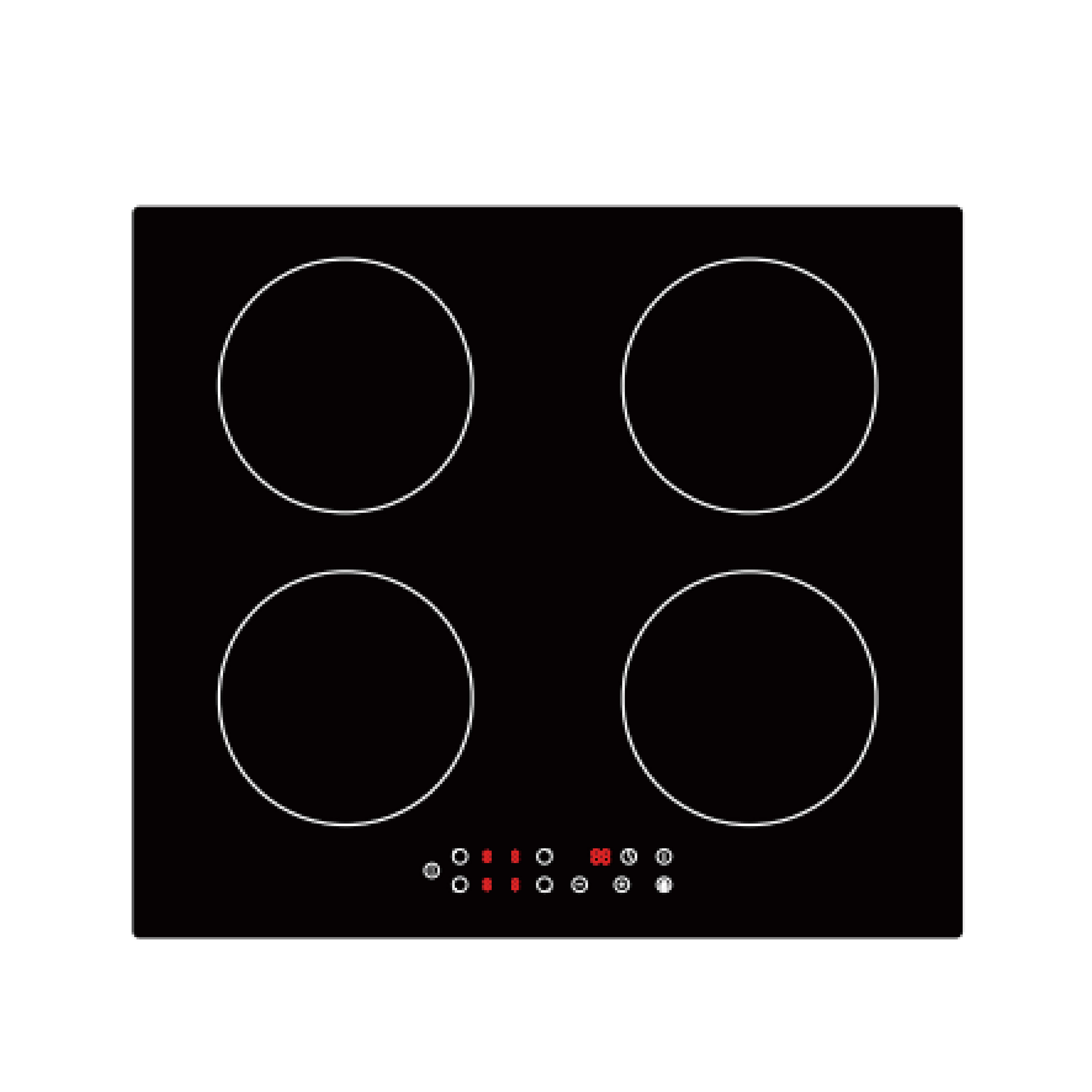 Induction Cooker