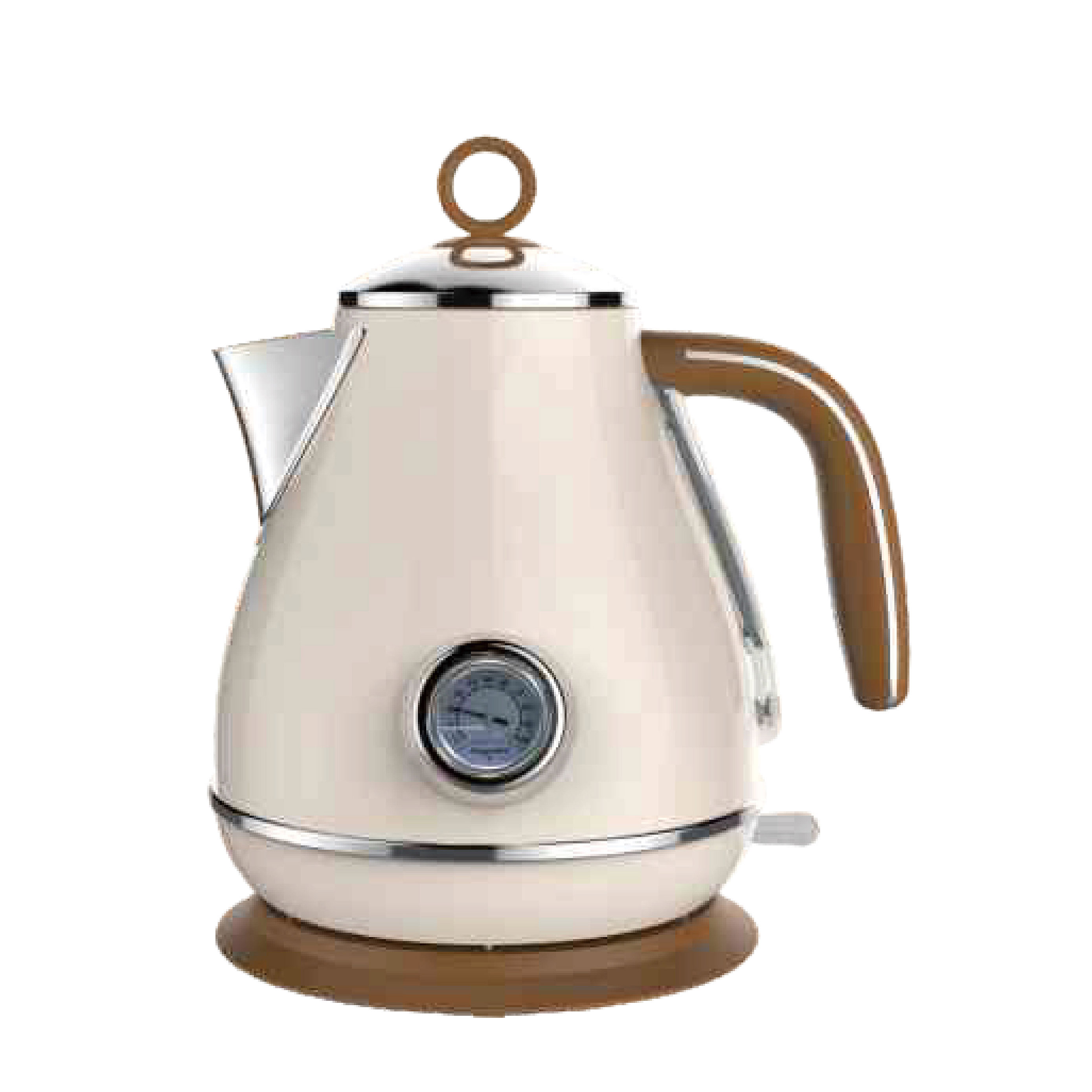 Electric Kettle