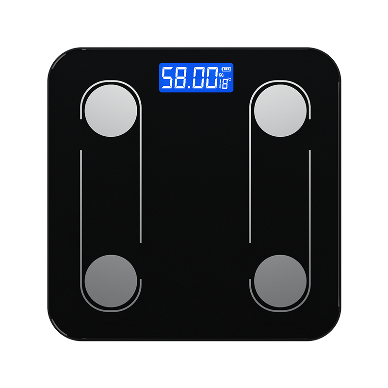 Body Fat Scale